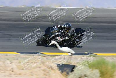 media/May-12-2024-SoCal Trackdays (Sun) [[ad755dc1f9]]/6-Bowl (845am)/